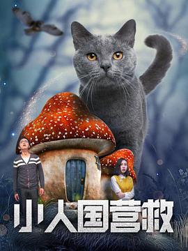 罗马的房子电影免费观看